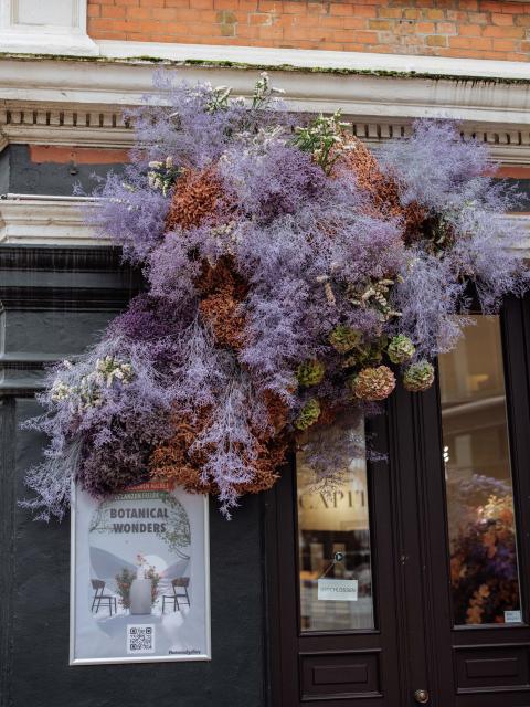 Botanical Gallery