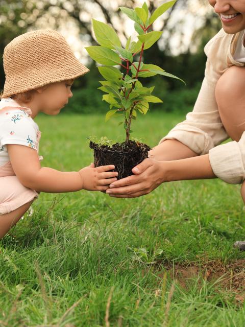 kraamcadeau geboorteboom | cadeau geboorte