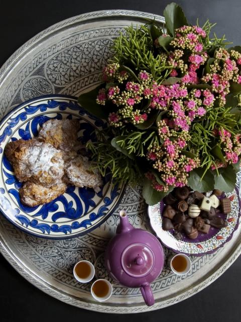 Die Kalanchoe ganz herbstlich - Pflanzenfreude.de