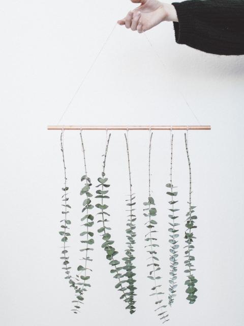 DIY: Hängender Eukalyptus Pflanzenfreude.de