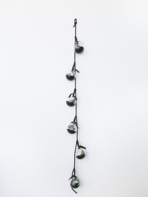 Weihnachten bewahren (Teil 1) Pflanzenfreude.de