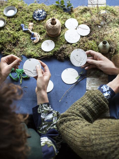 DIY: Pflanzen- und Blumenabdrücke Pflanzenfreude.de