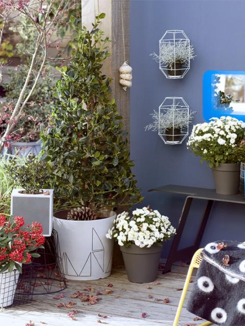 Autumn trend 2016: playing with contrasts - Thejoyofplants.co.uk