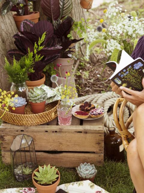 Feiern Sie das ultimative Sommergefühl mit einem Sommerpicknick - Pflanzenfreude.de