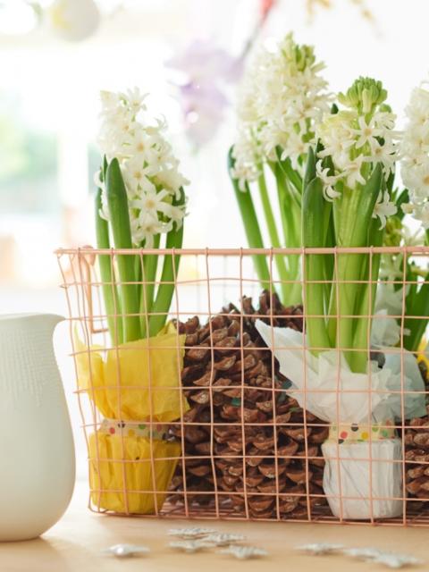 Hyacinth basket on thejoyofplants.co.uk