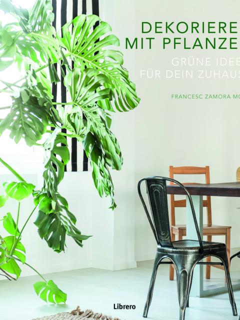 Gewinnspiel Dekorieren mit Pflanzen Pflanzenfreude.de