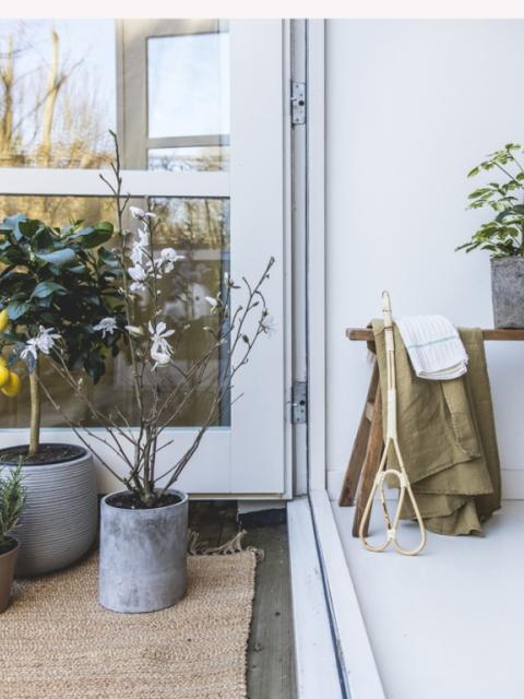 Opruimen tuin voor de lente Mooiwatplantendoen.nl