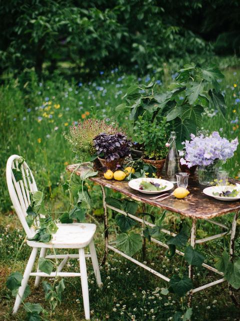 So kommt der Sommer auf den Tisch | pflanzenfreude.de