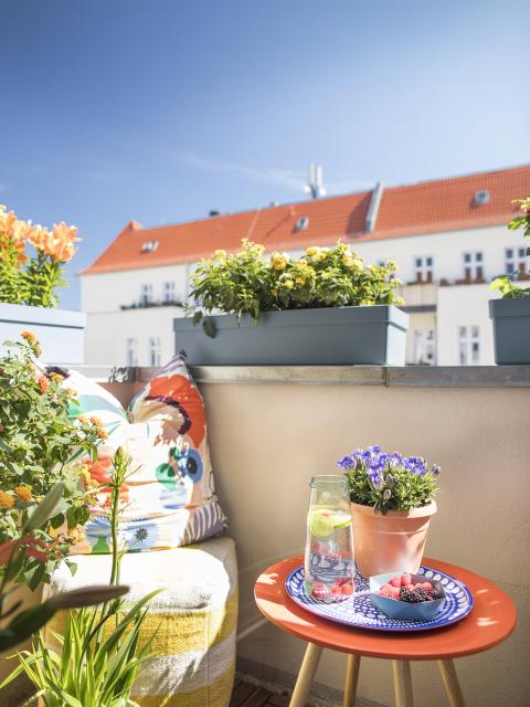 Plantastic Home Office: Arbeitszimmer Balkonien - Pflanzenfreude.de