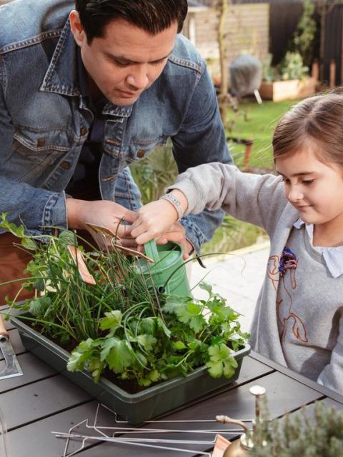 Vatertag im Garten | Pflanzenfreude.de